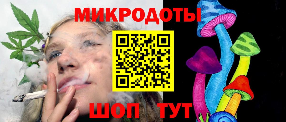 Галлюциногенные грибы Psilocybe Омск