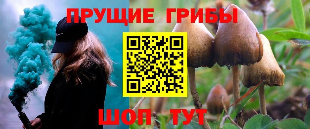 Галлюциногенные грибы ЛСД  Псилоцибиновые грибы прущие грибы  Вход с VPN  Омск 